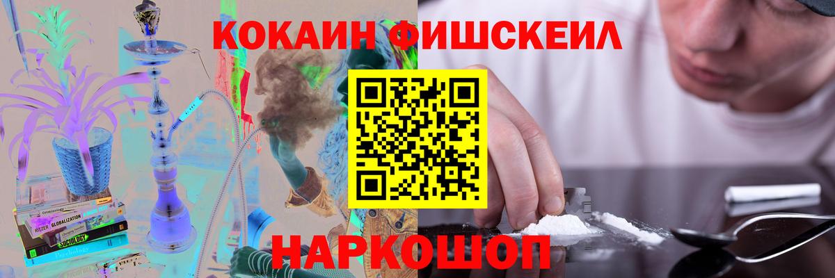 COCAIN Fish Scale  Вход с VPN  Котовск 