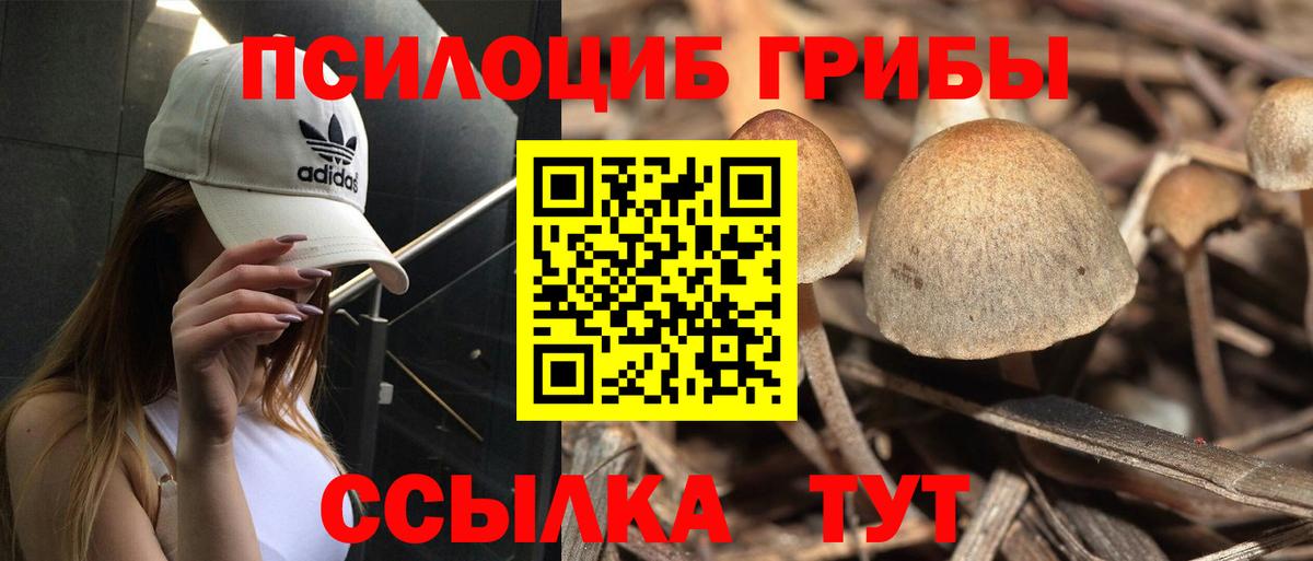 Галлюциногенные грибы Psilocybine cubensis  Галлюциногенные грибы Psilocybine cubensis  Вход с VPN  Котовск 